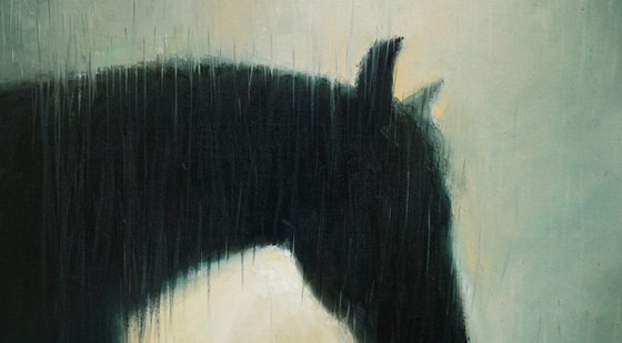 Horse In The Rain