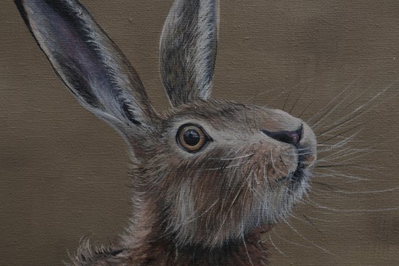 Portrait of a Hare III