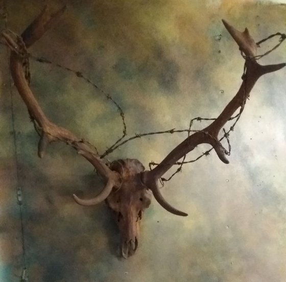 OATHKEEPER 'Game of Thrones' inspired stags head sculpture