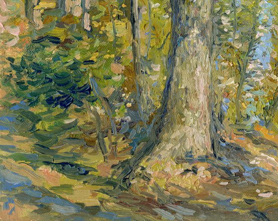 September. Forest. Surroundings of Ilyinki
