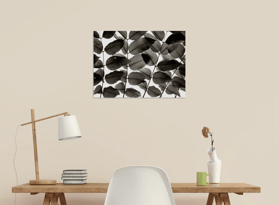 Branches and Leaves I | Limited Edition Fine Art Print 1 of 10 | 45 x 30 cm