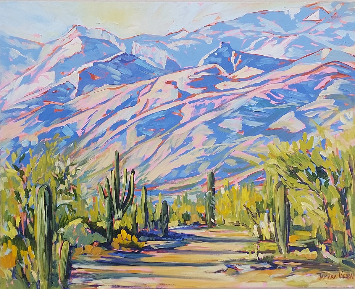 Desert Hills by Tamara Vieira