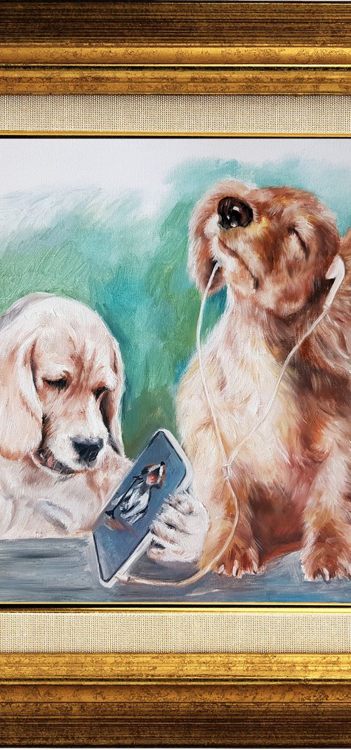 Dogs enjoying music by Henry Cao