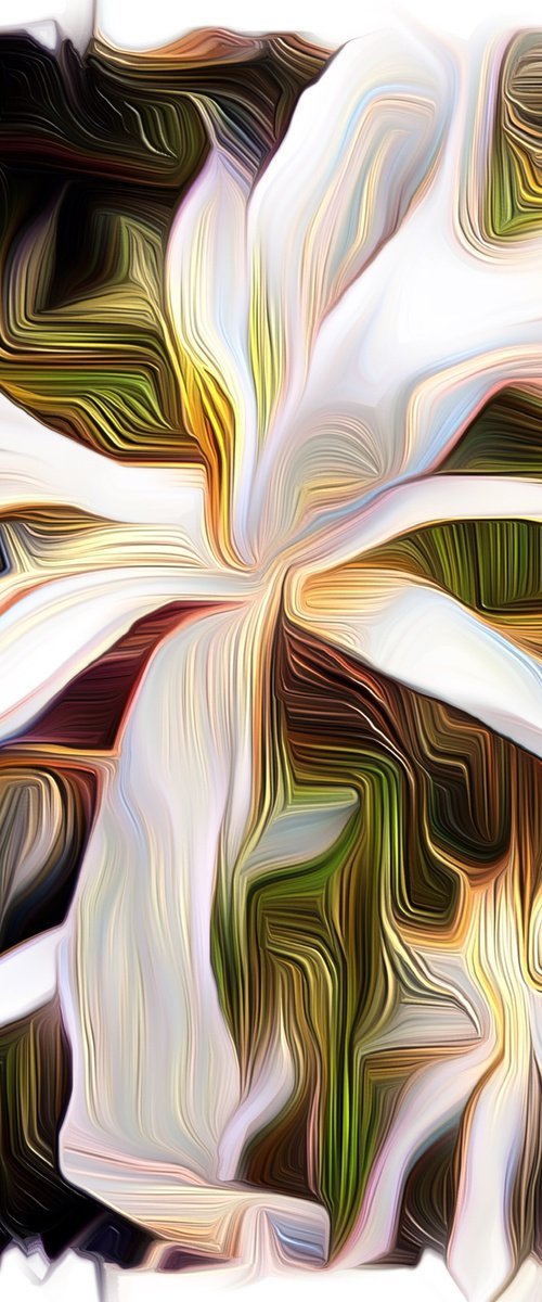 White flower - an abstract photo-impressionist artwork by Tony Roberts
