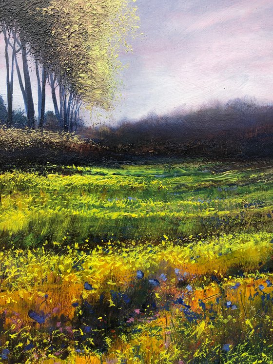 Spring Meadow