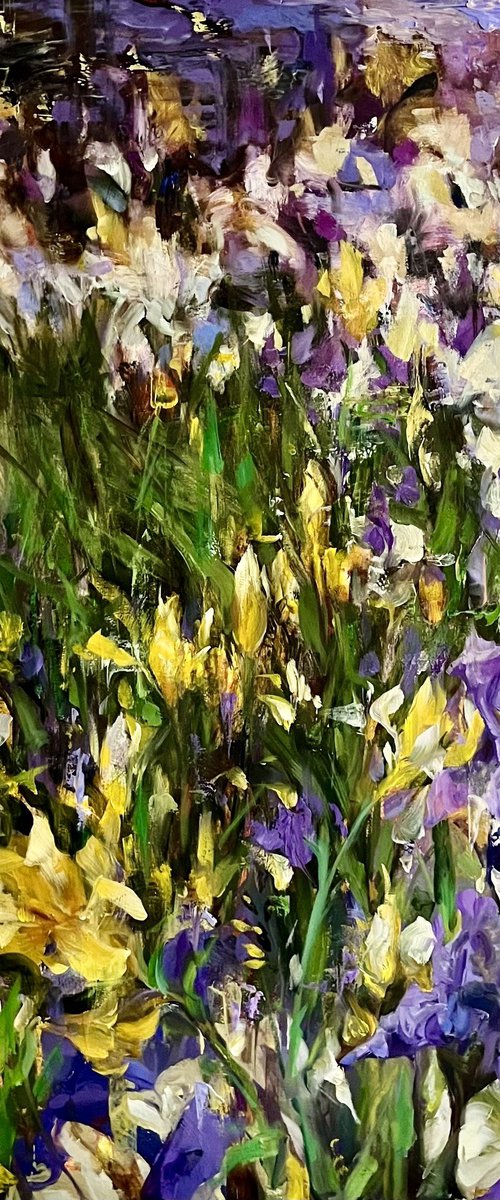 KINGDOM OF IRISES by Elena Mashajeva-Agraphiotis