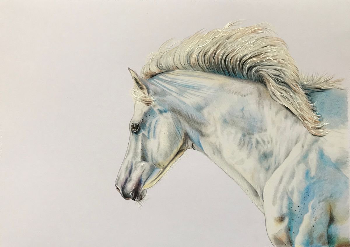 Photorealistic Pencil Drawing , Ice White By Karen Elaine Evans, 14 X 11, Artwork For Sale On Artfinder