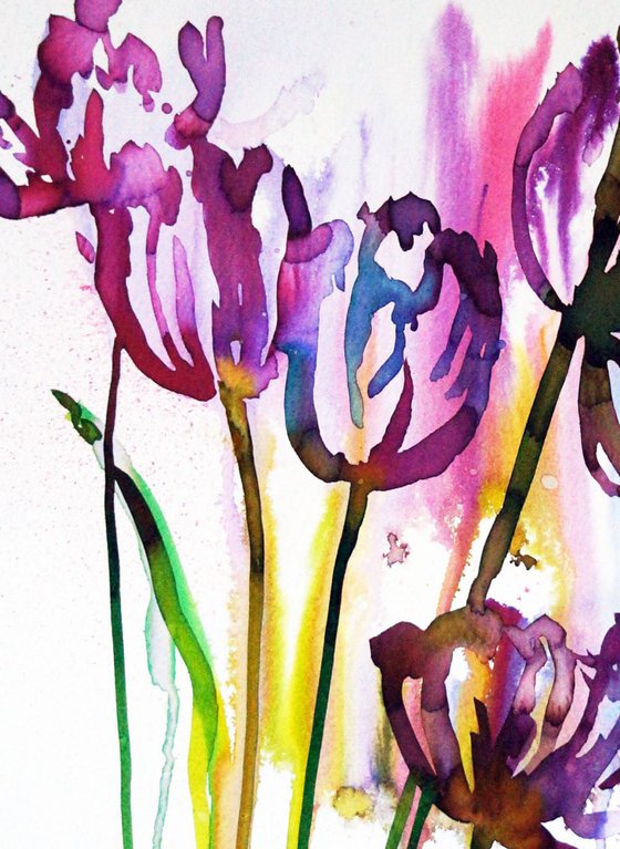 Tulips in watercolour