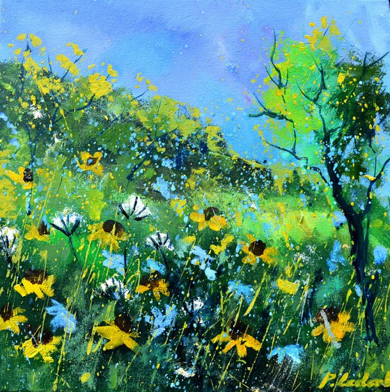 Morning wild flowers