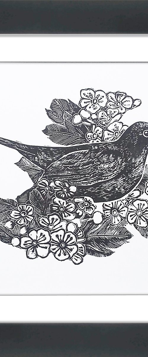 Mr Blackbird by Carolynne Coulson