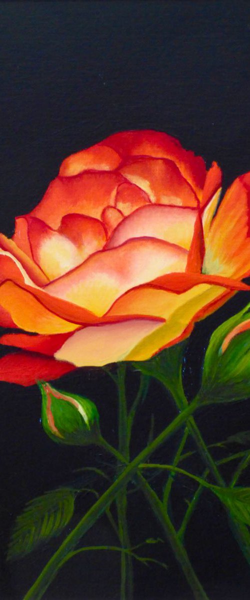 Flaming Passion by Gilbert Lessard