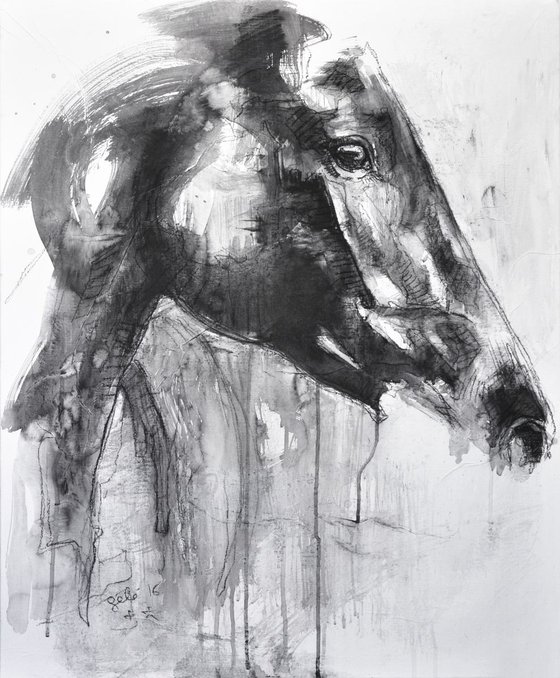 Equine Nude 35t