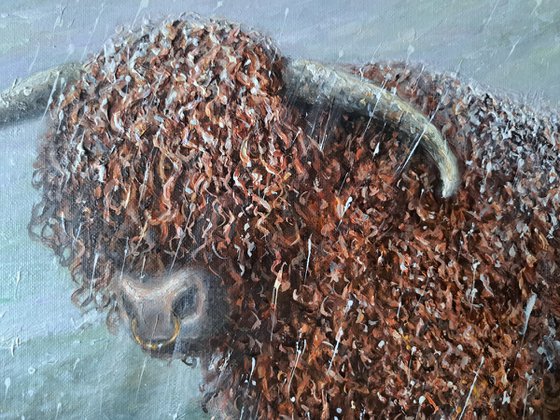 Winter Highlander