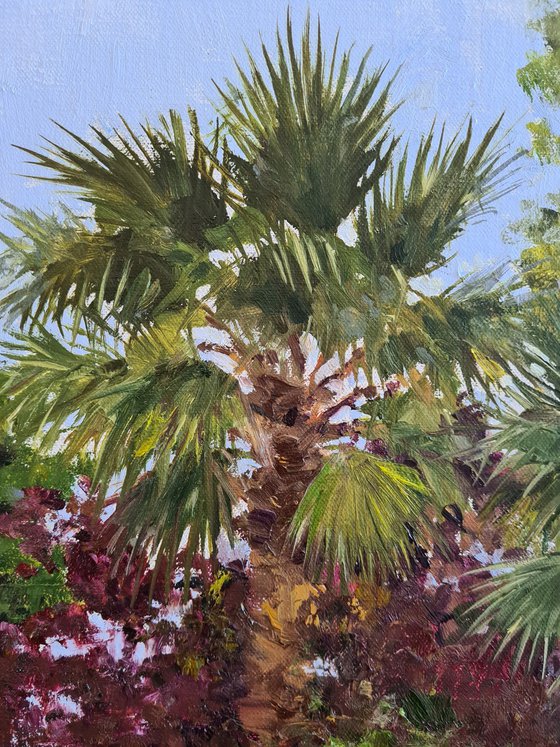 Morning Mediterranean Garden