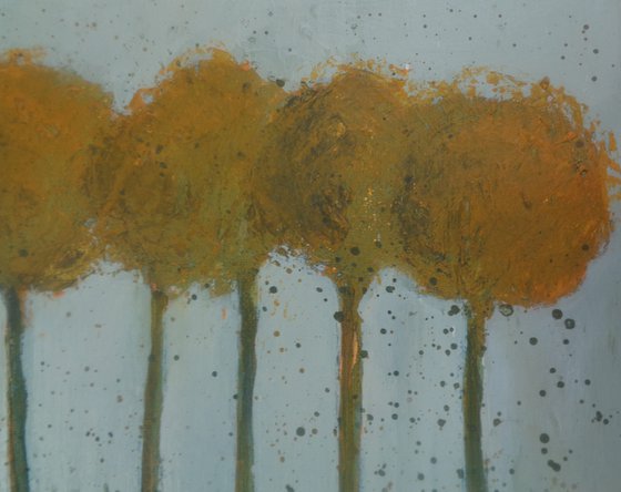 Spring Leaves....