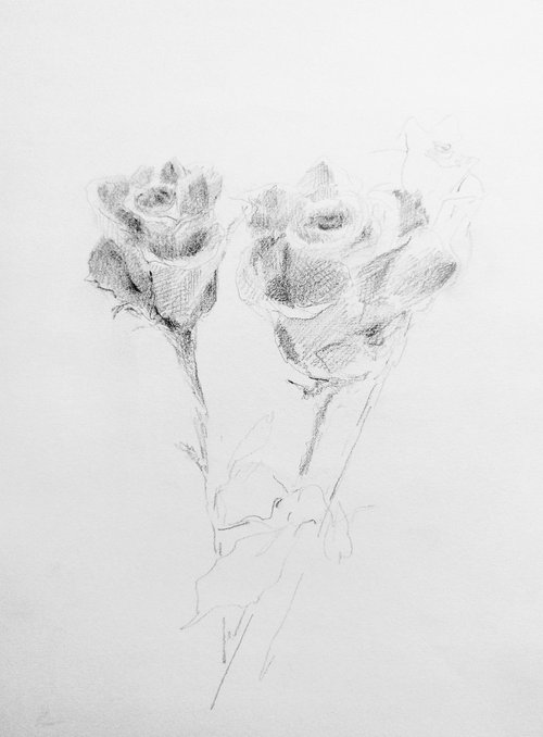 Roses #6. Original pencil drawing by Yury Klyan