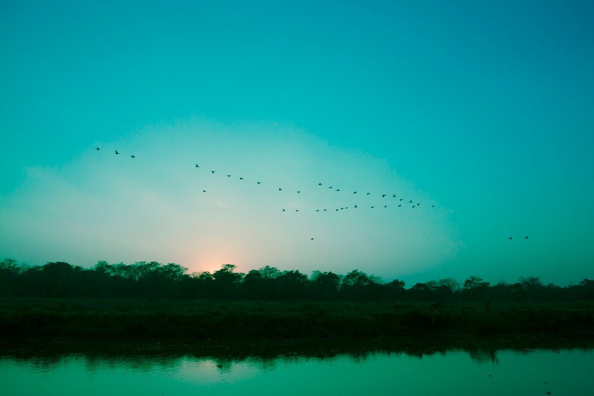 Impressionistic Landscape Photograph By Viet Ha Tran, 28 X 20", Sunset In Chitwan (Blue), Original Artwork
