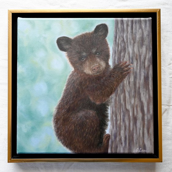 Bear Cub