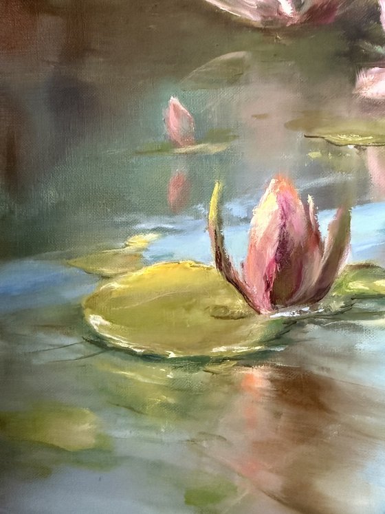 Waterlilies. In your secret garden.