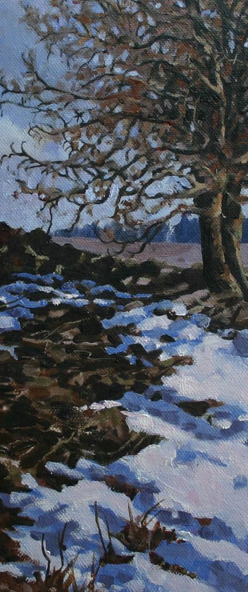 Winter Thaw by Zoe Elizabeth Norman