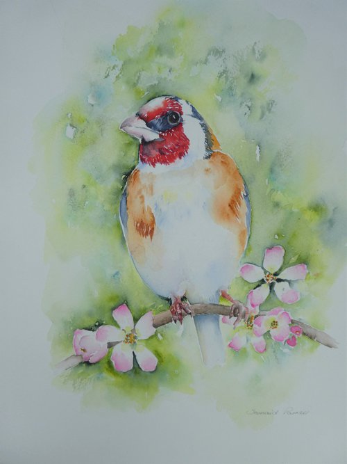Goldfinch and Apple Blossom by Seonaid Parnell