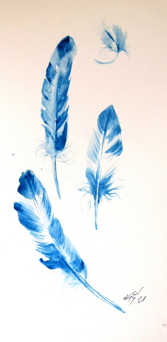 Blue feathers