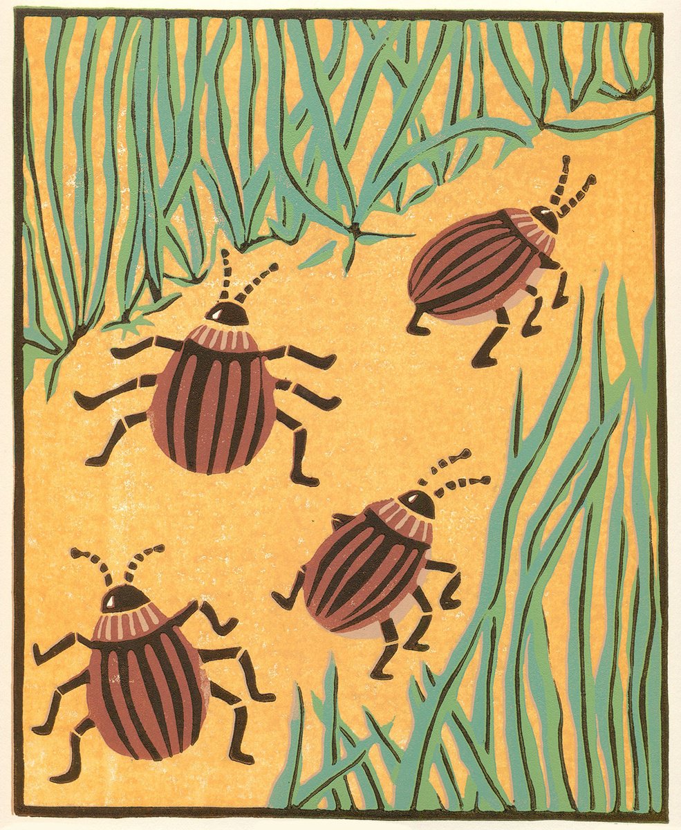 Illustrative Animal Linocut By Kate Goetz, 11 X 13", Four Little Beetles, Original Artwork