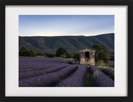 THE SUNSET OF PROVENCE II