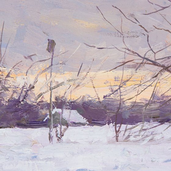 A Winter Study