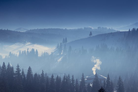 Winter Morning