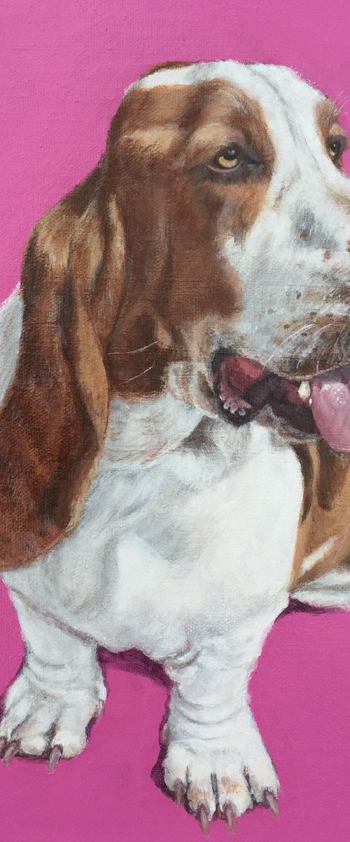 'Basset Hound' by Rosie Mark