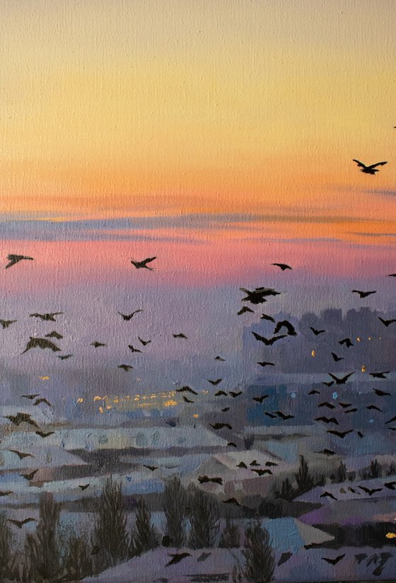 Flock at First Light