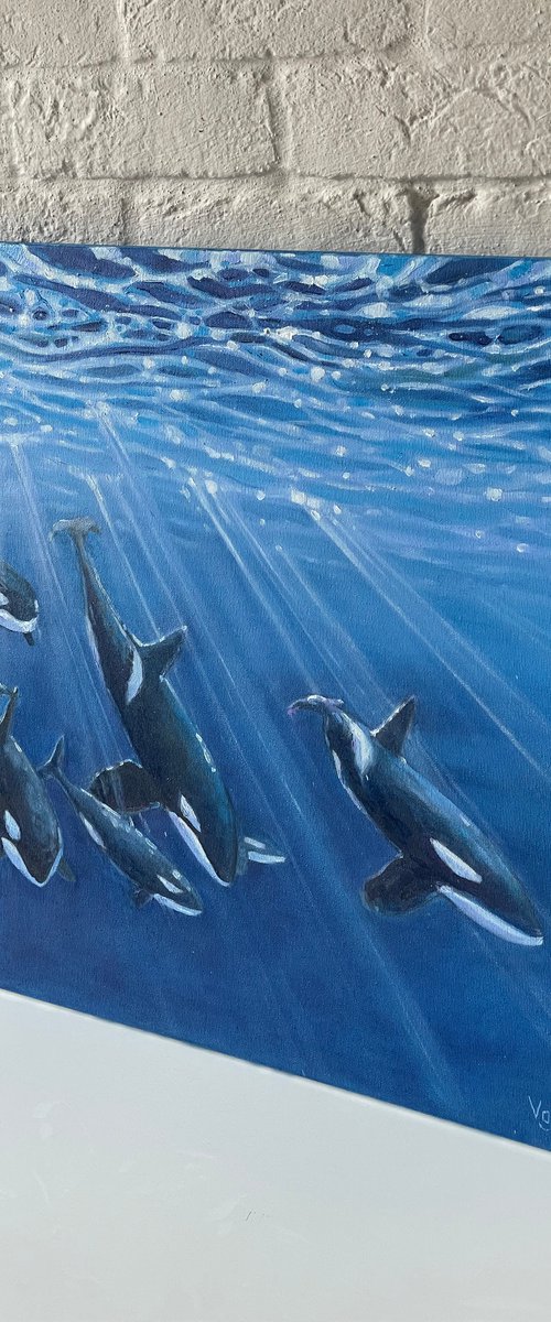 The flock of killer whales. Original oil painting by Mary Voloshyna