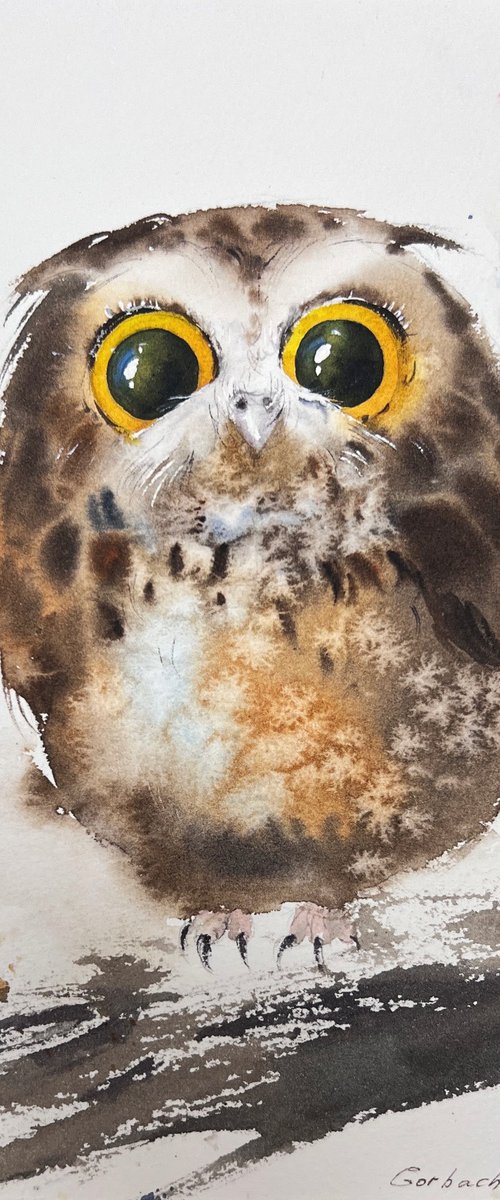Amber-Eyed Owlet by Eugenia Gorbacheva