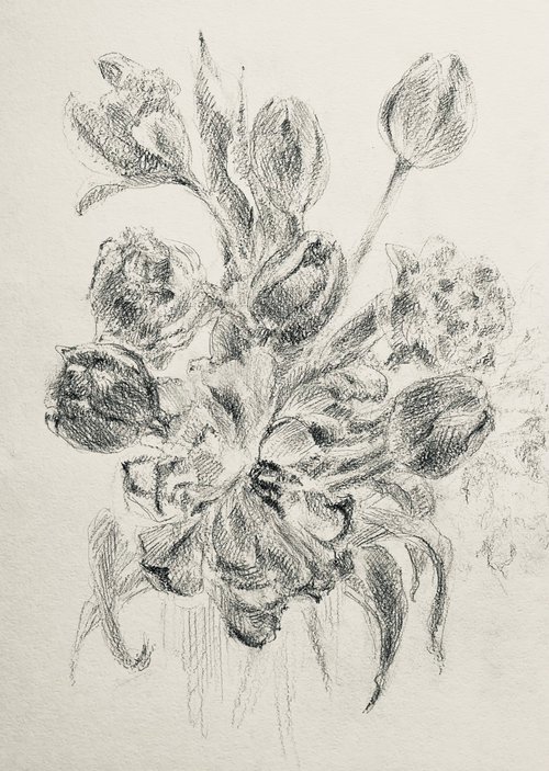 French tulips #2 . Original pencil drawing. 2020 by Yury Klyan