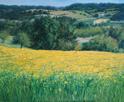 Rapeseed field in Tuscany by Claudio Ciardi