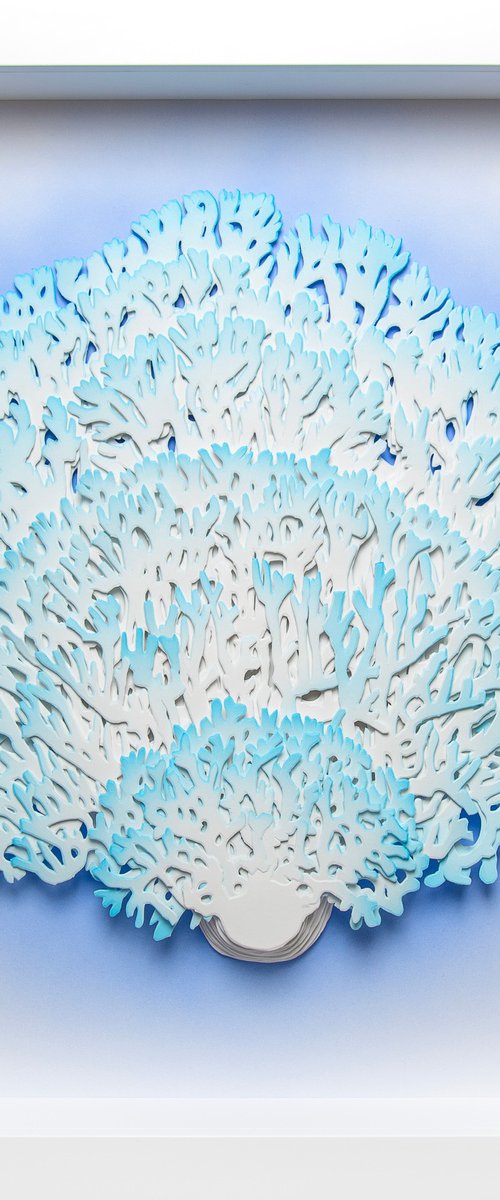 Coral by Olga Skorokhod