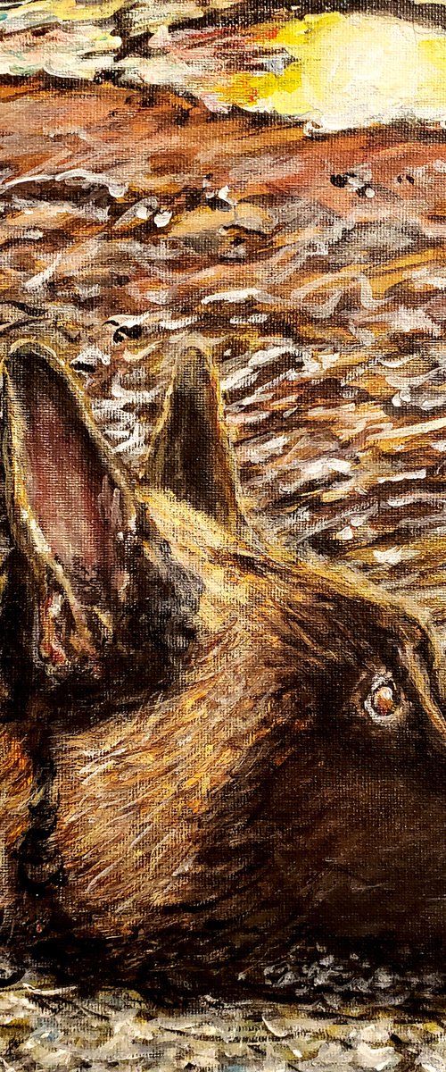 Malinois Watching Waves by Robbie Potter