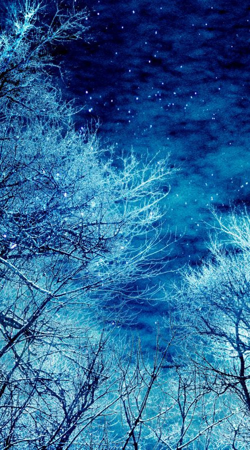 Winter magic by Julia Gogol