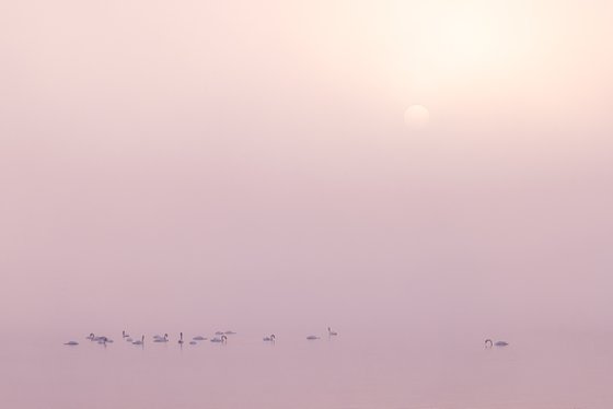 Under The Rising Sun