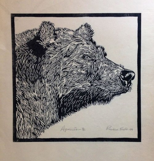Arkoutha / Bear by Rosalind Forster