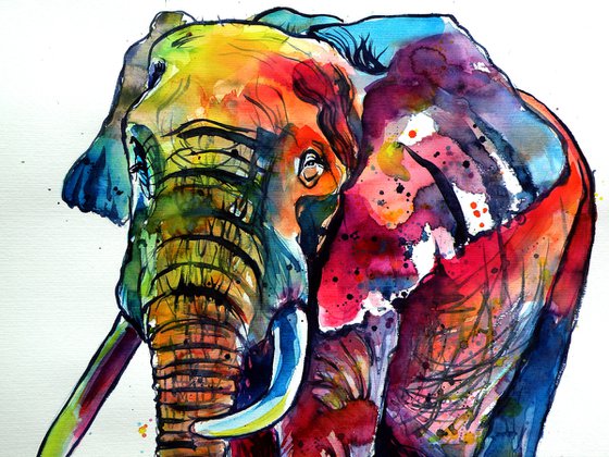 Happy colourful elephant