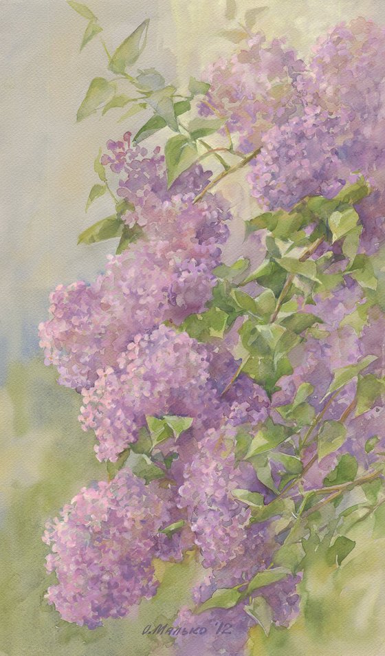 Branches of a lilac