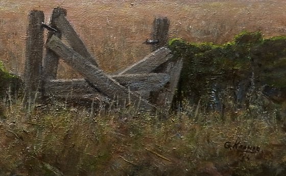 Old Fence