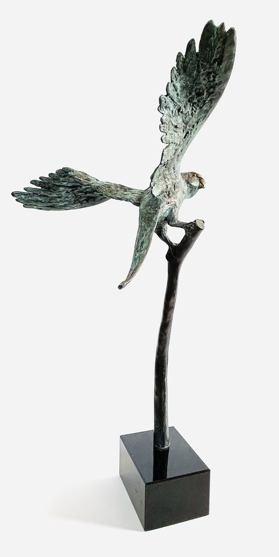 Emerald Flight Reverie, no.V/VIII