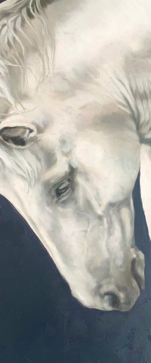 Porcelain by Alina Marsovna