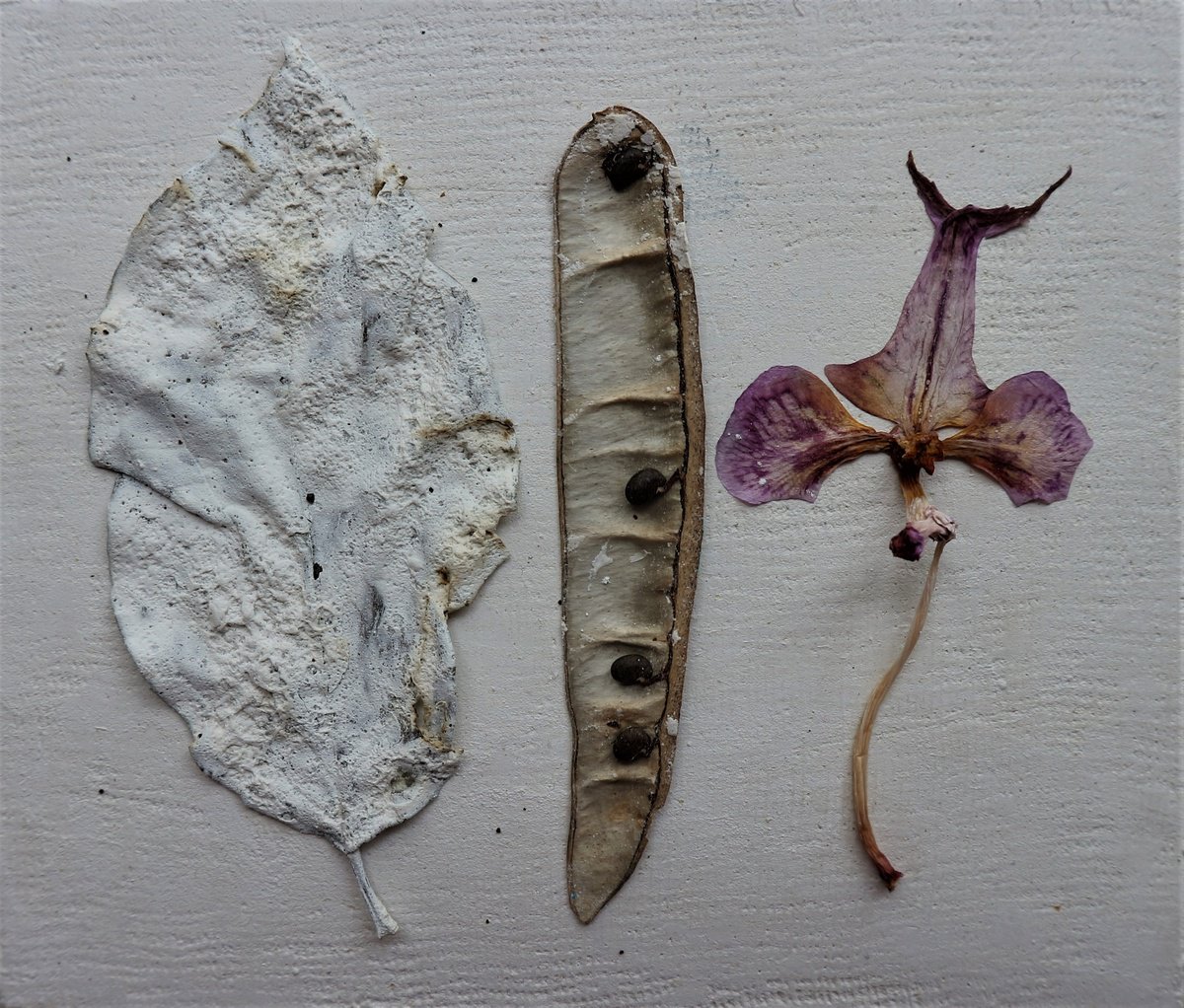 Botanical Collage By Florina Breazu, 5 X 4, April 20Th I, Original Artwork