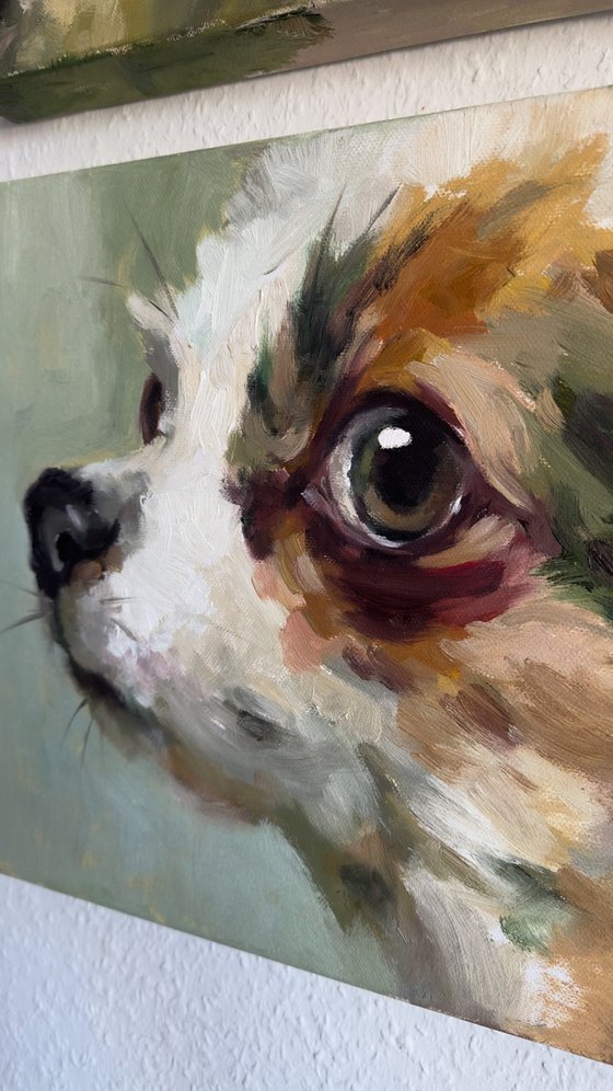 Green dog