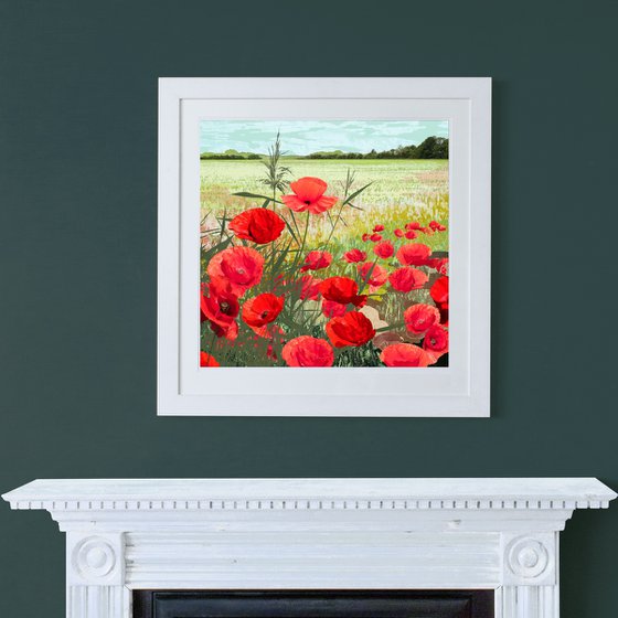 Poppies
