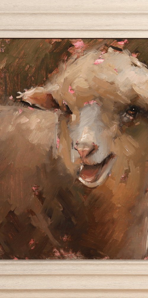 Sheep study by Jade Eynon